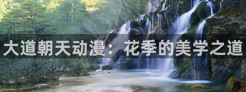 贝勒漫画正版网：大道朝天动漫：花季的美学之道
