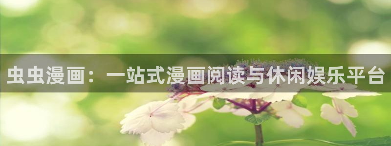 age专注动漫的门户网站：虫虫漫画：一站式漫画阅读与休闲娱乐平台