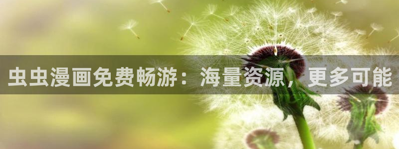 age专注动漫的门户网站