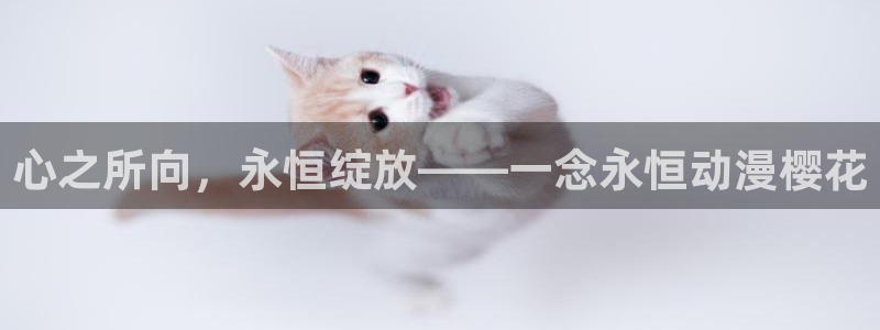 贝勒漫画下载：心之所向，永恒绽放——一念永恒动漫樱花