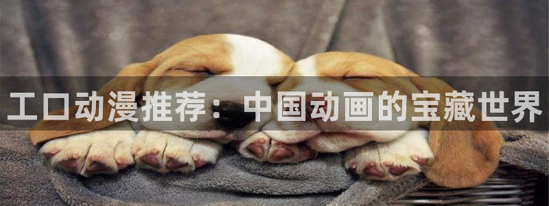 colamanage漫画：工口动漫推荐：中国动画的宝藏世界