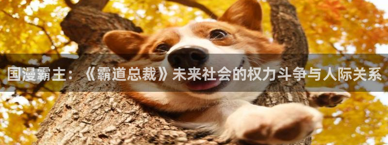 韩国漫画平台kakaopage：国漫霸主：《霸道总裁》未来社会的权力斗争与人际关系