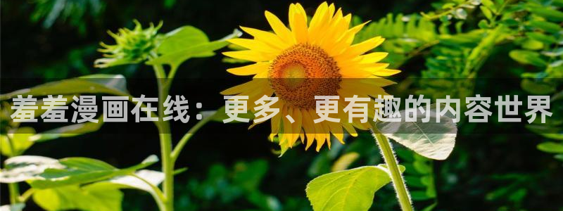 贝勒漫画下载入口：羞羞漫画在线：更多、更有趣的内容世界