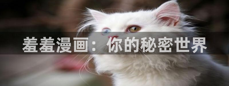 贝勒漫画官网在线入口：羞羞漫画：你的秘密世界