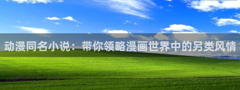 age专注动漫的门户网站：动漫同名小说：带你领略漫画世界中的另类风情